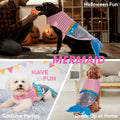 cyeollo Mermaid Dog Halloween Costumes for Small Dogs Holiday Outfit, S