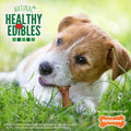 Nylabone Healthy Edibles Broth Bone Natural Dog Chews Long Lasting Treats Ham Flavor Small/Regular - Up to 25 Ibs. (16 Count)