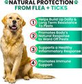 Flea and Tick Prevention for Dogs Chewables, Oral Flea and Tick Control