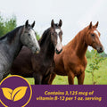 Horse Health Vita B-12 Crumbles Vitamin Horse Supplement, 3 lbs