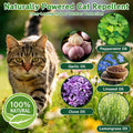 Cijoaui 12 Pcs Natural Cat Deterrent Balls - Peppermint Oil Scent, Plant-Based Repellent for Outdoor & Indoor Yard, Garden & Furniture Protection