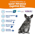 Zesty Paws Senior Dog Supplement - Cognition Chews, Chicken, 90 Ct