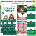 Treatment for Cat | Topical Preventative for Cats | 6 Doses Supply