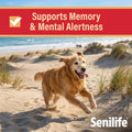 Senilife Cognitive Support Capsules for Senior Dogs, Brain Health & Cognitive Function Supplement, Supports Memory & Mental Alertness, 30 Capsules