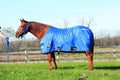 Weaver Leather 420D Nylon Stable Sheet Horse Blanket - Double Buckle Front Closures for Easy on and Off