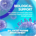 CaribSea South Sea Base Rock for Aquarium - 40 lb - Natural Rock for Aquascaping, Ideal for Saltwater Tanks, Enhances Aq