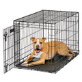 MidWest Homes for Pets Intermediate LifeStages Single Door 36-Inch Folding Dog Crate, Enhanced Security, Includes Leak-Proof Pan, Divider Panel, Handle, Rubber Feet