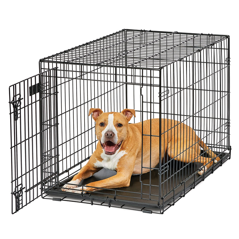 MidWest Homes for Pets Intermediate LifeStages Single Door 36-Inch Folding Dog Crate, Enhanced Security, Includes Leak-Proof Pan, Divider Panel, Handle, Rubber Feet