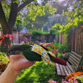 2 Pcs Bird Diapers Bird Harness Flight Suits Diapers with 80 Inch Flying Leash Reusable Parrot Nappy with Waterproof Inn