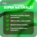 Carib Sea Create a Supernatural Experience: Super Naturals Crystal River Sand re-Creates The Natural World in Your Aquar