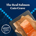 Blue Buffalo Wilderness Salmon Adult 7+ Dry Cat Food, Grain-Free, 5 lb