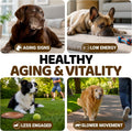 Turkey Tail Mushroom for Dogs - 170 Count - Mushroom Chews for Dogs Lipoma Lumps and Bumps - Immune Health, Digestive, Skin, Energy, Joint Vitamin Support Guard Buddy - Multivitamin Supplement