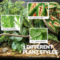 Artificial Reptile Terrarium Plants 3 Pack with Suction Cups