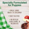 Nylabone Healthy Edibles Natural Puppy Chews Long Lasting Treats for Puppies, Lamb & Apple Flavor, Small/Regular (12 Count)