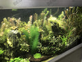 Aquarium Decorations 3Pcs Fish Tank Artificial Green Water Plants Made of Silk Fabrics Plastic