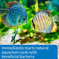API Quick Start Freshwater & Saltwater Aquarium Nitrifying Bacteria (4 oz)