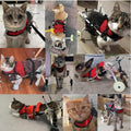 TOSPHU Cat Wheelchair Adjustable 2 Wheels Pet Wheelchair Lightweight Cat Support Wheels for Rehabilitation Aid for the Back Legs of Aging, Arthritic, Injured, Disabled, Weak Cats/Pets (XS)