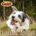 Cadet Junior Stuffed Shin Bones - Highly Digestible, High Protein, Long-Lasting Dog Chew Bone for Aggressive Chewers, Su