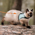 PETPMEEE Cat Leash - 15 ft / 30 ft Reflective Long Cat Leash Outdoor for Walking Training Playing - Escape Proof Yard Lead Pet Leash Also for Cats, Small Dogs, Puppy, Kitten, Rabbit