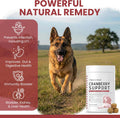Dog UTI Treatment Cranberry Supplement for Dogs, 120 Soft Chews - Natural Urinary Tract Infection Support and Healthy Bladder Control – Made with Echinacea and Vitamin C