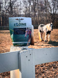 Lifespan Equine Herbal Anti-Inflammatory Supplement | Natural Joint & Mobility Support for Horses | Eases Swelling, Stif