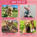 Gooby Comfort X Head in Harness - Pink, Small Harness Patented Choke-Free X Frame - Perfect on The Go Harness for Medium Dogs No Pull or Small Dogs for Indoor and Outdoor Use