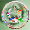 2 Gallon Glass Fish Tank,Sturdy Nicely Betta Fish Bowl,Small Aquariums for Small Ornamental Fish and Reptiles,High Trans