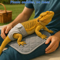 Bearded Dragon Diaper Accessories with Reusable Pad, Adjustable Wearable for Short Handling and Travel, Bearded Dragon A