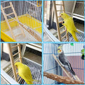 YHNTGB 5pcs Wooden Bird Ladder for Parrots Cage 5 Basic Sizes Perch Parakeet Climbing Toys Hanging Pet Natural Step Cockatoo Lovebirds
