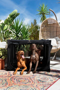 Noah & Paw XXL Collapsible Dog Crate, 42", Soft Sided Dog Crate 900D Oxford