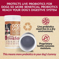 Fidobiotics Good Guts Probiotics for Big Dogs