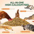 BUCATSTATE Dried Black Soldier Fly Larvae for Chickens and Ducks