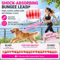 JC HOUSE Hands Free Dog Leash with Waist Belt Lifetime Replacement, Dual Handle Bungee Leash for Running, Jogging, Hiking and Walking, for Medium and Large Dogs 5118