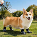 PAWISE Dog Boots & Paw Protectors 4PK, Non-Slip Dog Shoes for Hot Pavement Summer Heat, Waterproof Anti-Slip Sole Dog Bo