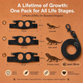 3 Pack Bearded Dragon Leash and Harness Set (S, M, L) - Growth Pack Protective Reptile Walking Rope for Outdoor Sunbathi