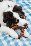 Nylabone Textured Ring Power Chew Toy for Large Dogs, Durable Dog Toys for Aggressive Chewers, Strong Dog Chew Bones To Keep Them Busy, Flavor Medley, X-Large - 50+ lbs, 1 Count
