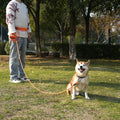 ZALER Long Dog Leash, 50 feet 30ft 20ft 15ft 10ft Dog Training Lead, Heavy Duty Reflective Check Cord Recall Leash for D
