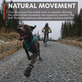 Non-stop Dogwear Dog Boots for Hot Pavement, Paw Protectors, 4-Pack