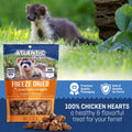 Freeze Dried Small Pet Treats - Resealable Bag of Treats for Ferrets - Ferret Snacks - Single Ingredient Ferret Food Wit
