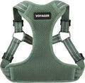 Voyager Step-in Flex Adjustable Dog Harness - Moss Green, Small