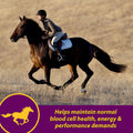 Farnam Horse Health Red Cell, Liquid Vitamin-Iron-Mineral Supplement for Horses, Helps Fill Important Nutritional Gaps i