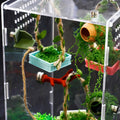 4Pcs Jumping Spider Enclosure Accessories Cocoon-Shaped Jumping Spider Hideaway with Artificial Moss and 1 Pcs Resting P