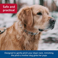 Herm SPRENGER Ultra-Plus Prong Dog Training Collar, 3.0 mm x 18" Neck Size, 3.0 mm x 22" Chain Length, Steel Chrome Plat