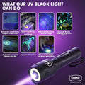 UV Flashlight, 2-in-1 Blacklight & White Light Mode, 395nm UV, 240 Lumen