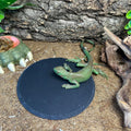 Reptile Basking Platform 6.0in Rock Plate Food Bowl Slate for Tortoise