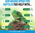 SILVER GRADE Reptile Antibiotics Mouth Rot Spray for Snakes & Lizards