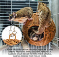 NEOUZA Sugar Glider Nest, PP Rattan Hanging Ball Bed for Small Pets