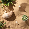 BUCATSTATE Hamster Bath Sand with Pour Spout, 6.6LB Desert Bath Sand | No-Dust Potty Litter Calcium-Free Sand for Hamste