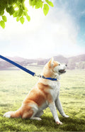 PETGOGO 15ft 20ft 30ft 40ft 50ft Long Dog/Puppy Lead Obedience Recall Training Dog Leashes for Small Medium Dogs Camping, Training, Play, or Backyard (40 FT, Blue)