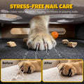 5-in-1 cat nail file scratcher Enrichment Box - interactive cat toys for indoor cats, Large felt cat puzzle feeder with 